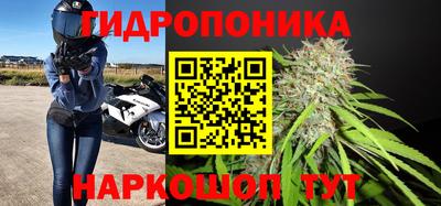 каннабис Гусев