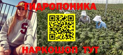 MDMA Premium VHQ Гусиноозёрск