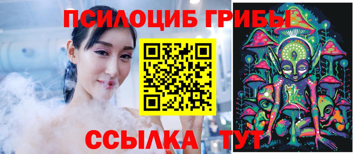 Мичуринск  Галлюциногенные грибы Cubensis  Вход с VPN  Галлюциногенные грибы Psilocybe 